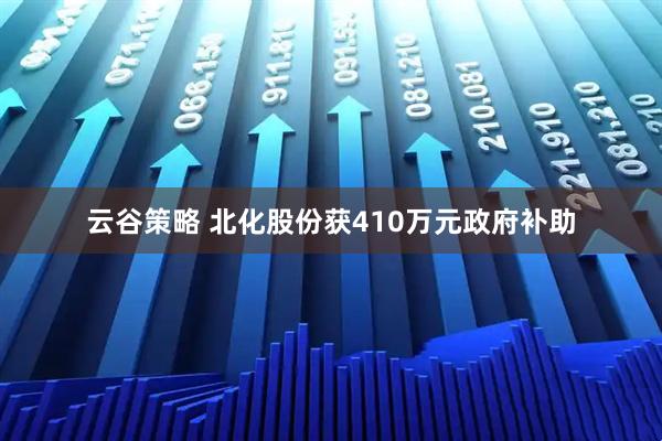 云谷策略 北化股份获410万元政府补助