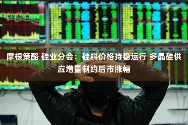 摩根策酪 硅业分会：硅料价格持稳运行 多晶硅供应增量制约后市涨幅