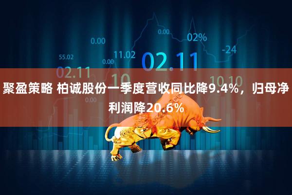 聚盈策略 柏诚股份一季度营收同比降9.4%，归母净利润降20.6%