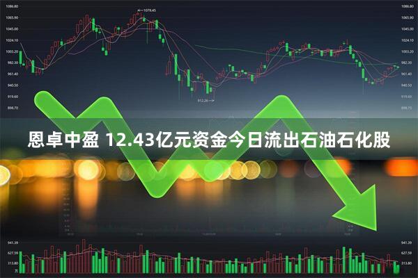 恩卓中盈 12.43亿元资金今日流出石油石化股